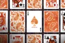 Paisley Ton sur Ton Poudre Orange Foil Designer's Choice – Image 3