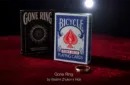 Gone Ring (Blue) by Vladimir Zhukov x Hide – Bild 1