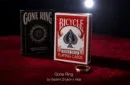 Gone Ring (Red) by Vladimir Zhukov x Hide – Image 1
