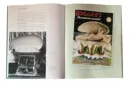 The Final Conference Illusions by Mike Caveney - Book – Bild 4