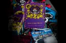 KEVIN STAAB 40TH ANNIVERSARY PIRATE PLAYING CARDS – Bild 3