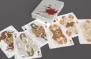 Urban Legends Playing Cards - Thailand Mini Colored Edition – Bild 5