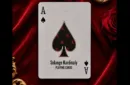 Solange Kardinaly Limited Edition Playing Cards – Bild 3