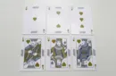 Georgia Southern Playing Cards – Bild 5