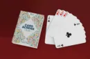 Card Across Plus by IARVEL MAGIC (Red) – Bild 2
