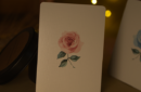 79659 alt2