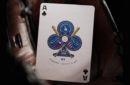 80459 alt3