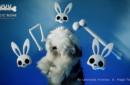 Magic Bones by Leonardo Arvelaez – Bild 1