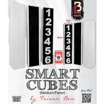 Smart Cubes (Medium / Parlor) by Taiwan Ben 