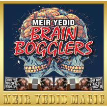 Brain Bogglers by Meir Yedid