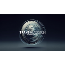 Transmutation by Robert Bertrance video DOWNLOAD