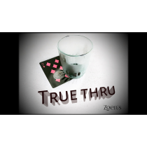 True Thru by Zoen's video DOWNLOAD