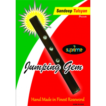 Jumping Gem Paddle by Sandeep Tulsyan