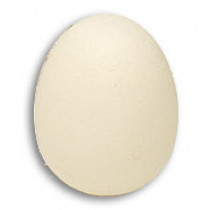 Foam Egg ( 1 egg is 1 unit) Goshman - Schwann Ei