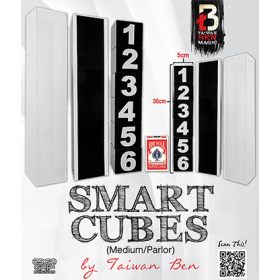 Smart Cubes (Medium / Parlor) by Taiwan Ben 