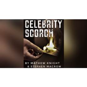 Celebrity Scorch (Joker and Batman) by Mathew Knight and Stephen Macrow