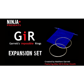 GIR Expansion Set (Gimmick and Online Instructions) silber by Matthew Garrett