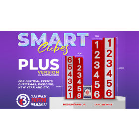Smart Cubes PLUS RED (Medium / Parlor) by Taiwan Ben