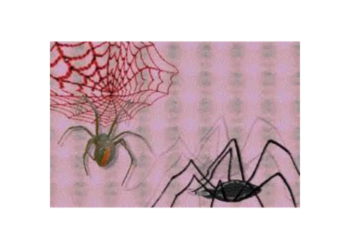 Unsichtbarer Faden Spiderweb fine