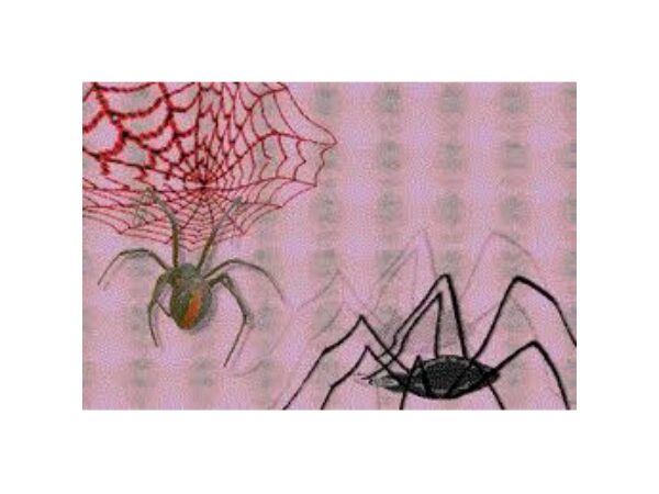 Unsichtbarer Faden Spiderweb fine