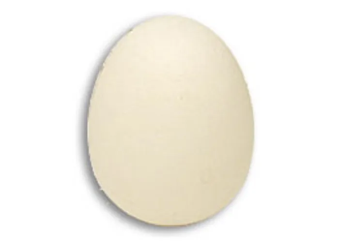 Foam Egg ( 1 egg is 1 unit) Goshman - Schwann Ei