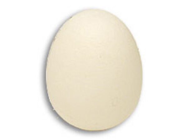 Foam Egg ( 1 egg is 1 unit) Goshman - Schwann Ei
