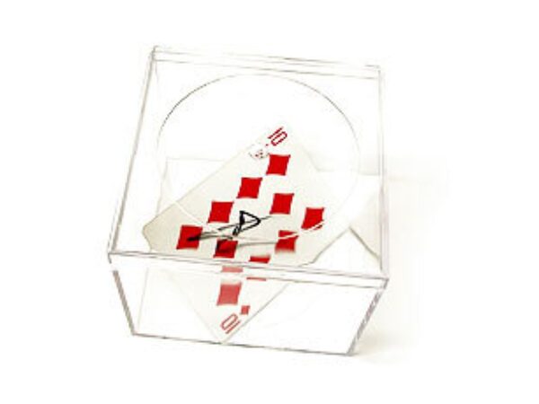 Glass Box Prediction by Devin Knight and Al Mann