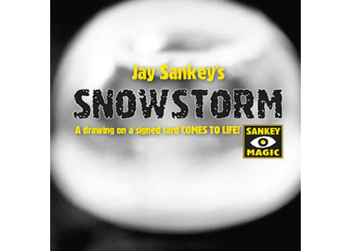 Snowstorm - Jay Sankey
