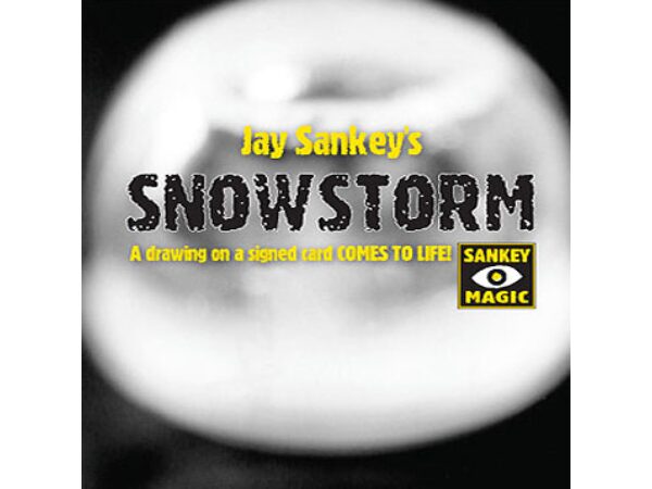 Snowstorm - Jay Sankey