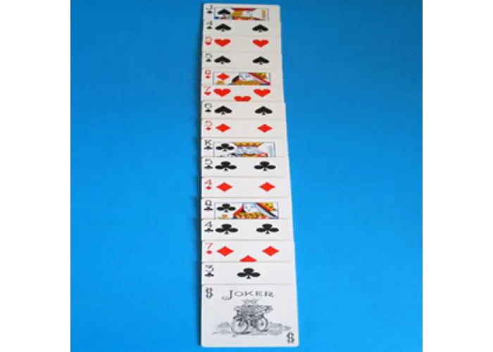 Magnetic Cards – Express