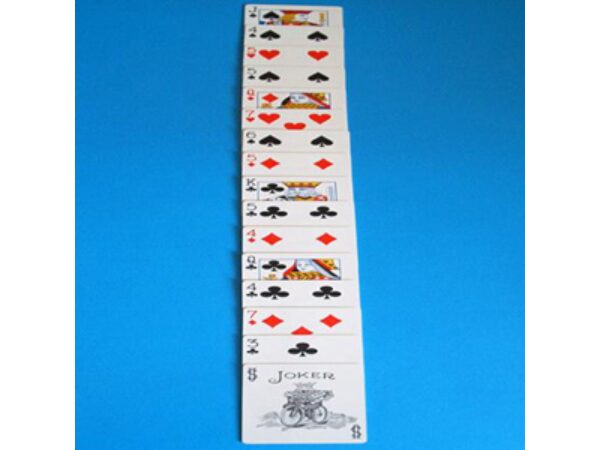 Magnetic Cards – Express