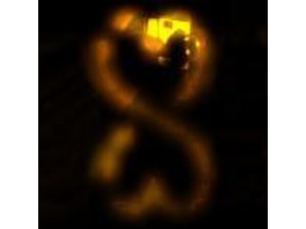 Illuminate by Mike Hankins DVD