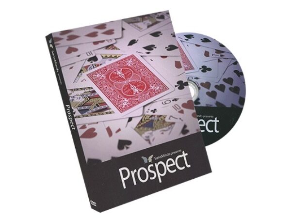 Prospect by SansMinds