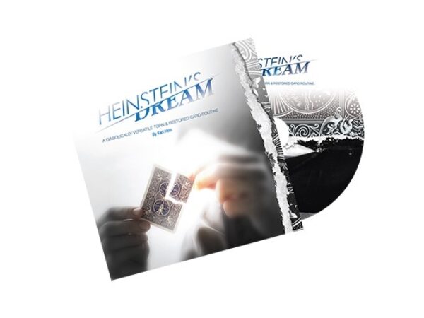 Heinstein's Dream by Karl Hein