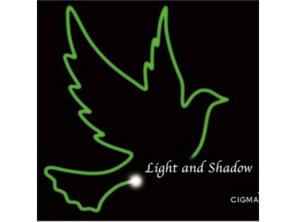 Light and Shadow by Lucian