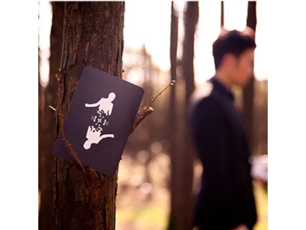 A's Manipulation Deck (Standard) by Anson Lee