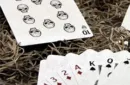 Bicycle Creepy Deck – Image 5