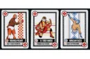 Bicycle Luchadores Deck by US Playing Card Co. – Image 4