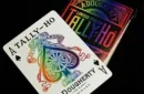 Spectrum Tally Ho Deck by US Playing Card Co. – Bild 3