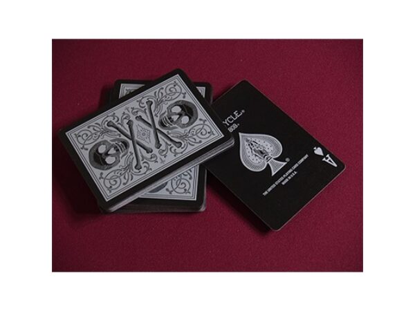 Bicycle Skull Metallic (Silver) USPCC by Gambler's Warehouse