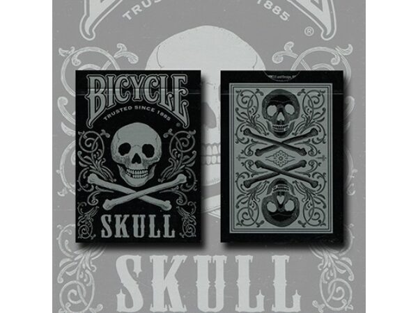 Bicycle Skull Metallic (Silver) USPCC by Gambler's Warehouse