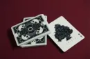 Anicca Deck (Silver) by Card Experiment – Bild 2