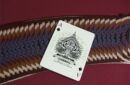 Httpswww magicshop chmediacatalogproductococcult deck2 jpg