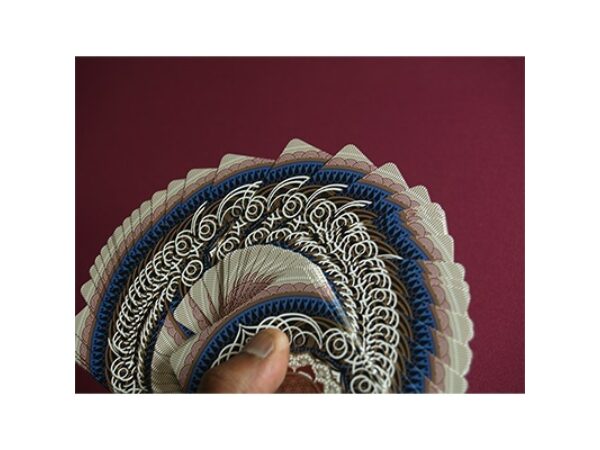 Occult Deck (Bicycle) by Gambler's Warenhouse