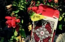 ORNATE White Edition Playing Cards (Scarlet) by HOPC – Image 2