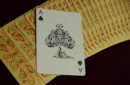 Blossom deck (Fall) Platinum Metallic Ink by Aloy Studios USPS – Image 2