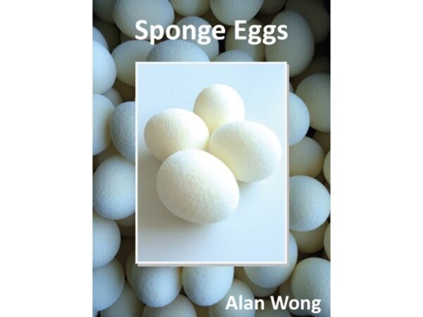 Sponge Eggs von Alan Wong (4 Stück) - Schwammball