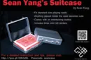 Suitcase by Sean Yang and Magic Soul – Image 4