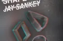 Shape Shifter by Jay Sankey (DVD + Gimmicks) – Image 2