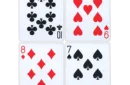 Fournier Plastic Playing Cards Large Pips ( red ) – Image 1